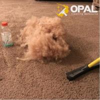 Opal Carpet Cleaning Melbourne image 2